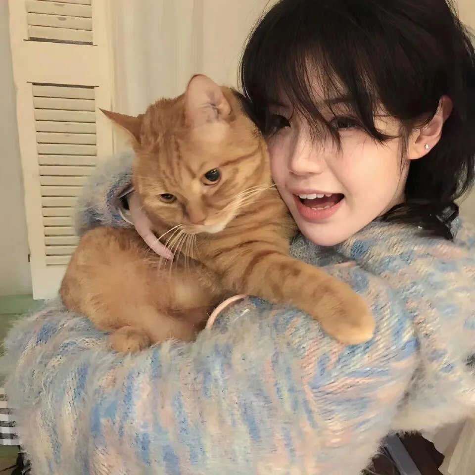 海角有个五店市