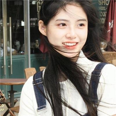 动物城里无小事